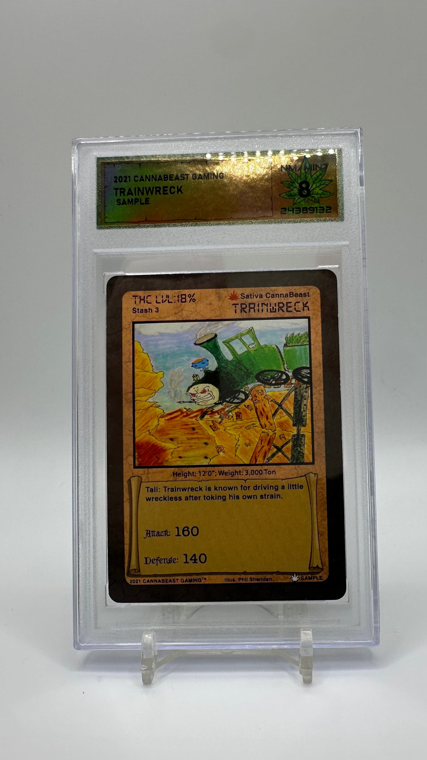 DSG Graded Sample Card Non Holo