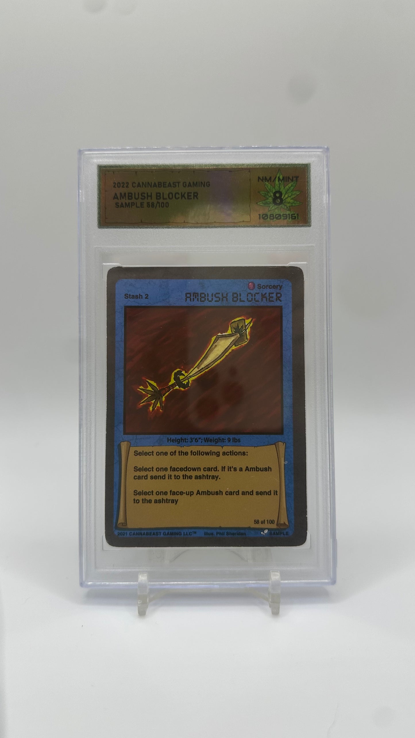 DSG Graded Sample Card Non Holo