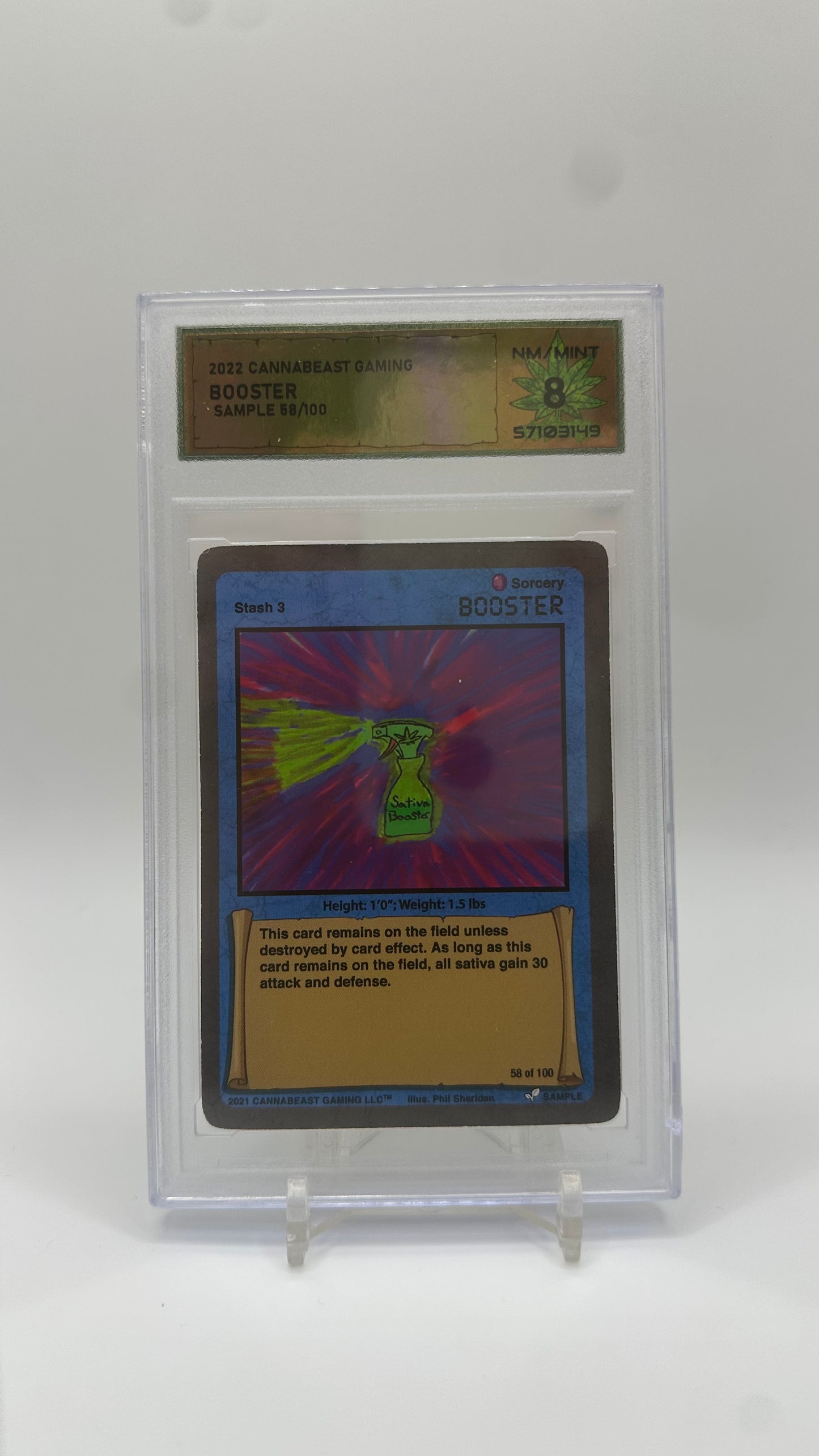 DSG Graded Sample Card Non Holo