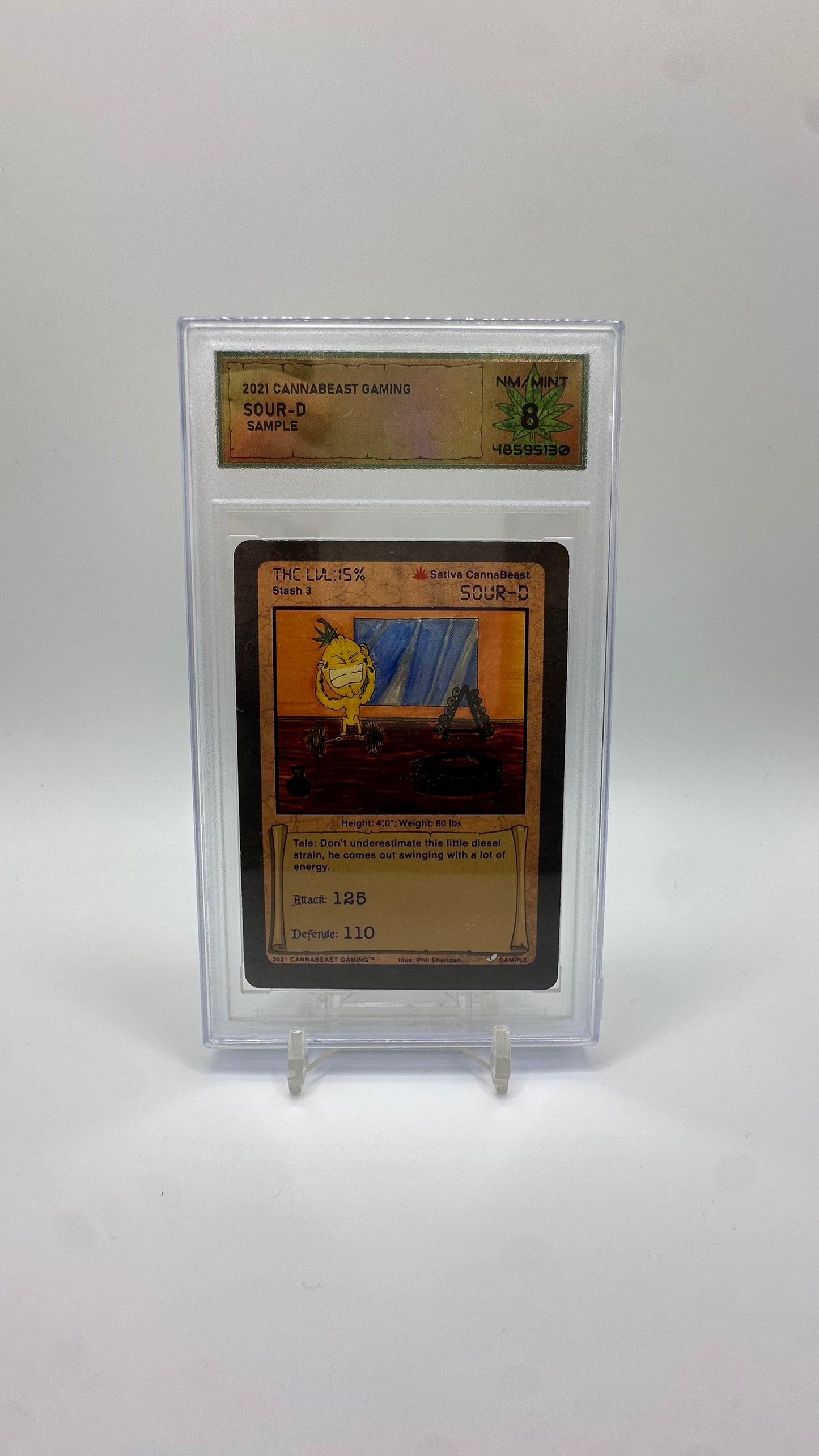 DSG Graded Sample Card Non Holo