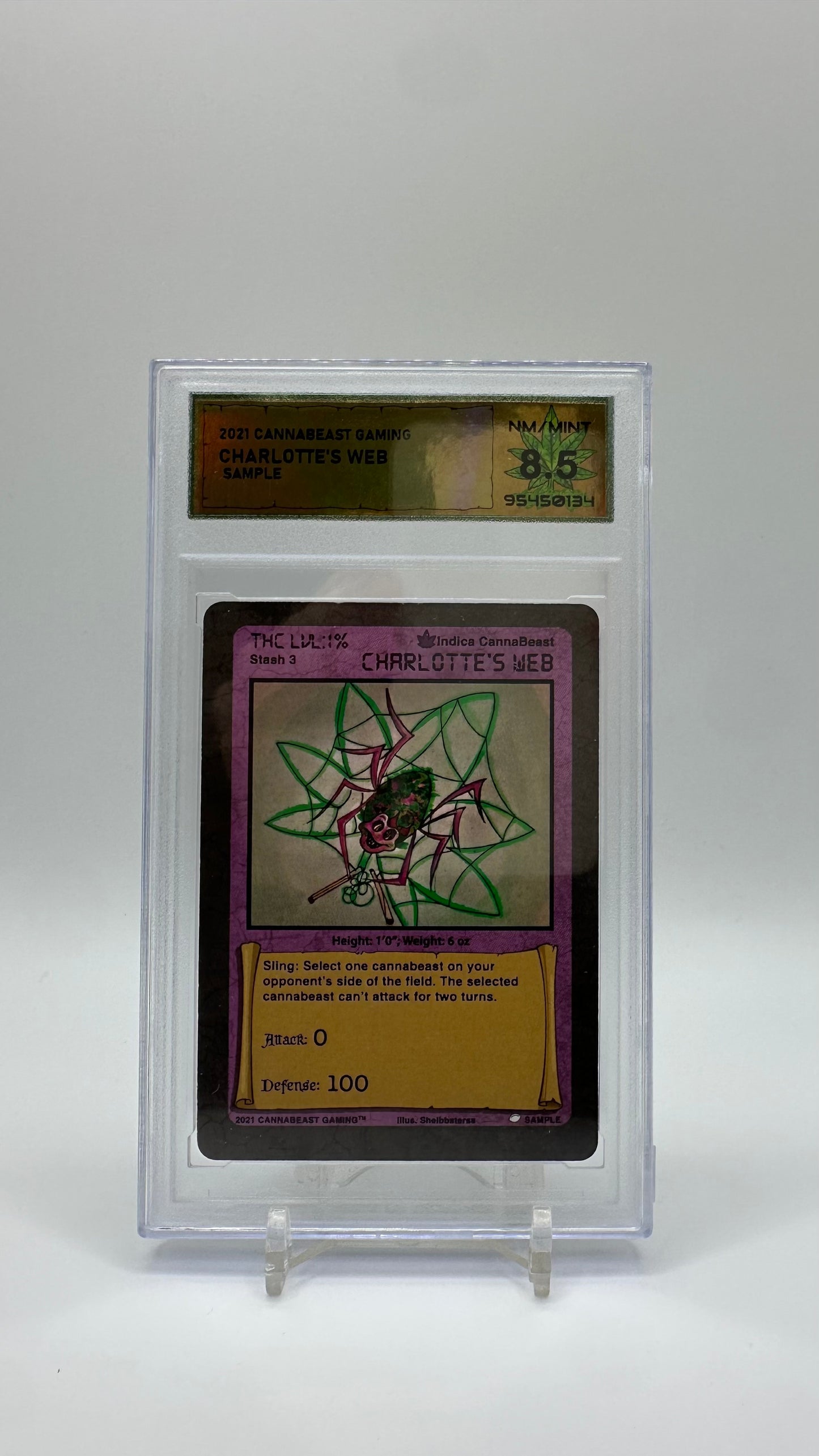 DSG Graded Sample Card Non Holo