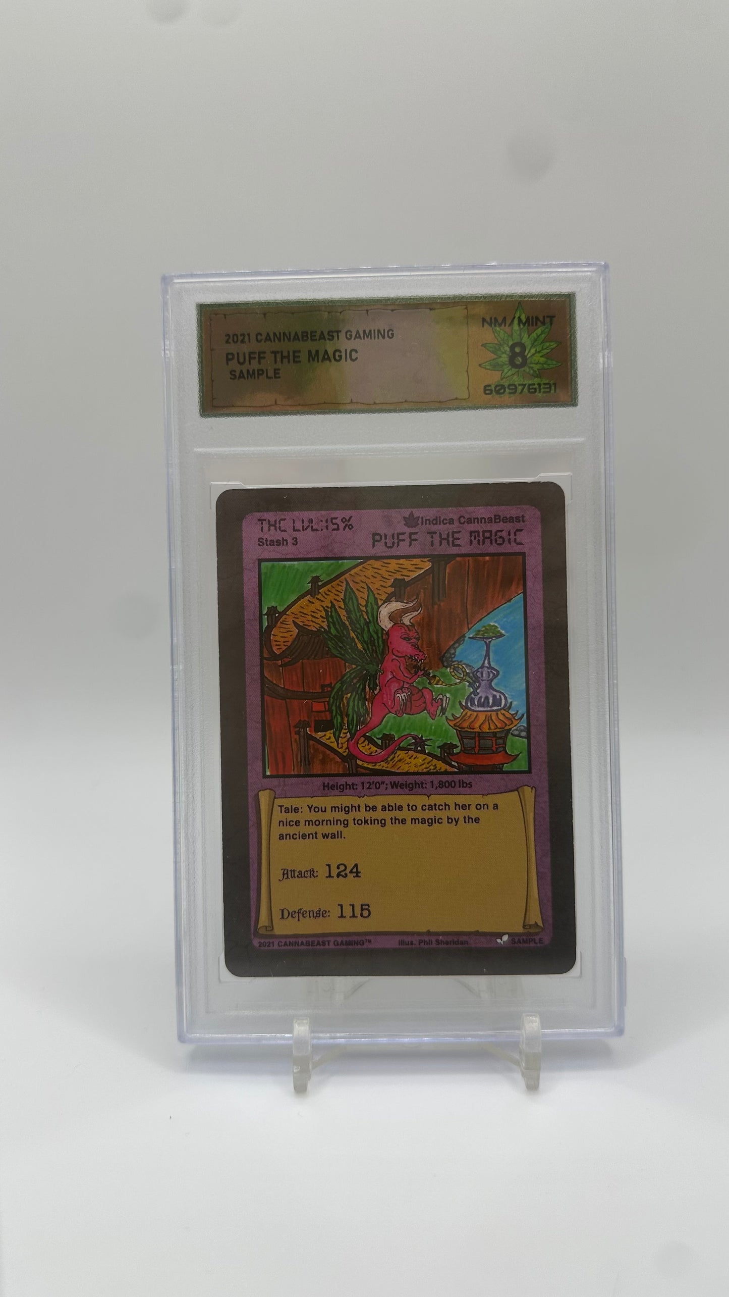 DSG Graded Sample Card Non Holo