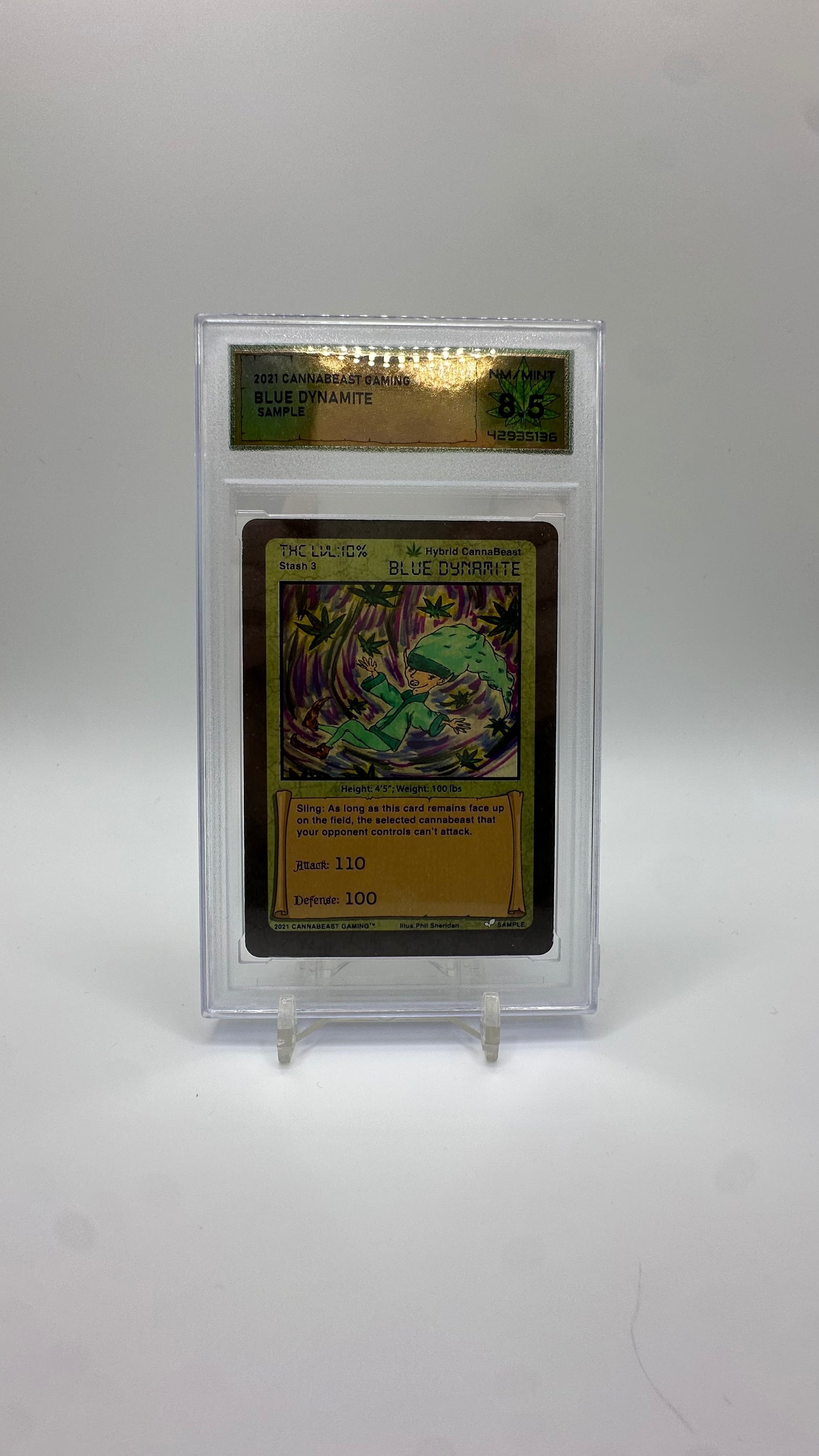 DSG Graded Sample Card Non Holo
