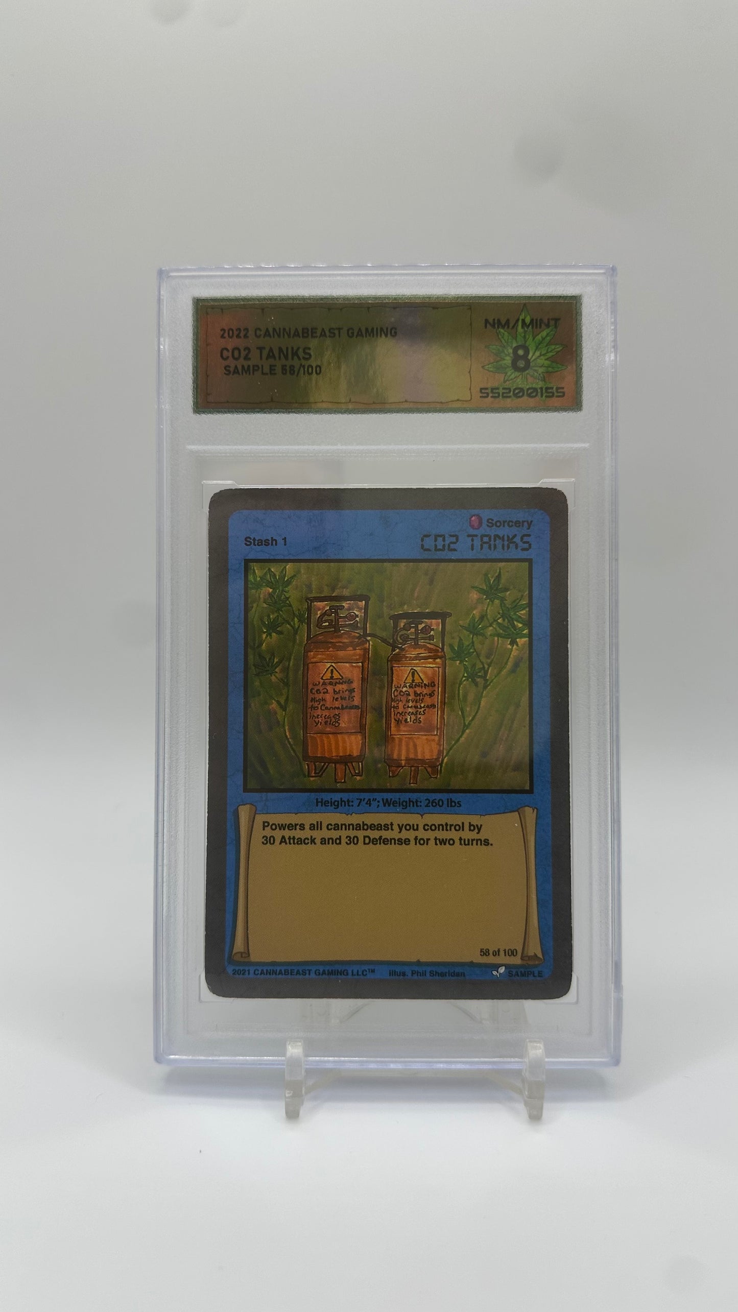 DSG Graded Sample Card Non Holo