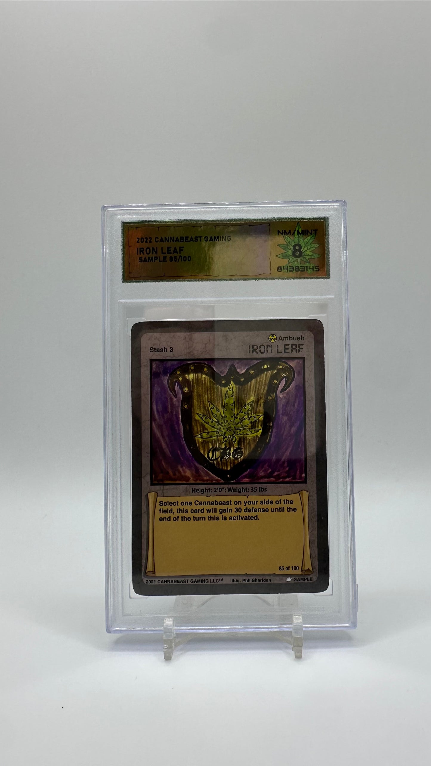 DSG Graded Sample Card Non Holo