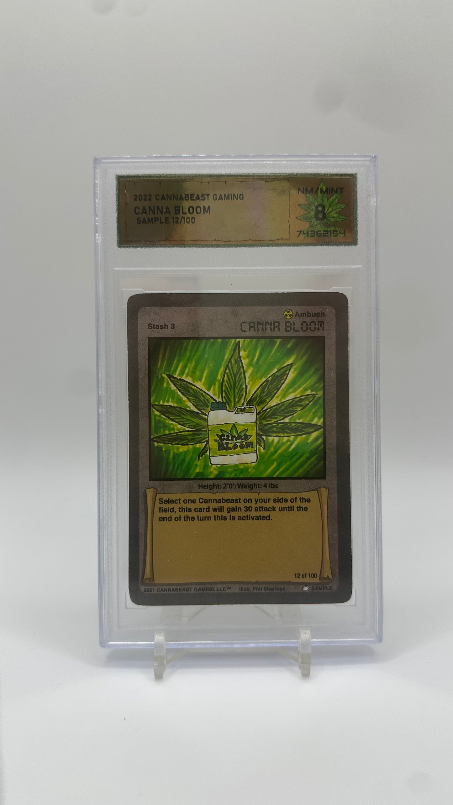 DSG Graded Sample Card Non Holo